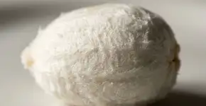 Foto: (Imagem sem texto alternativo disponivel ID [2742335])