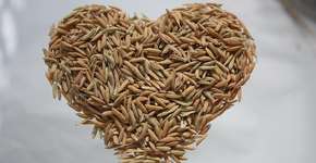 Esta é a dieta infalível que reduz os triglicerídeos e protege o coração, segundo especialistas