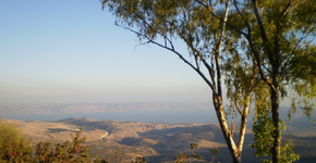 Cidade israelense 100% vegetariana tem gastronomia e aventuras