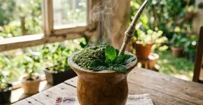 Adeus cansaço: a erva que potencializa o mate e melhora a concentração