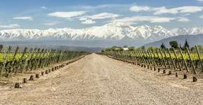 Foto: (Edsel Querini/istock)