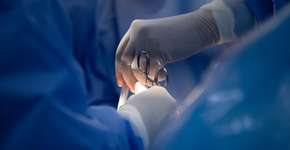 Foto: (Leandro Santiago/istock)