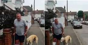 Cachorro manca para imitar tutor engessado e viraliza