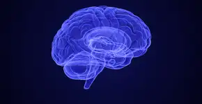 Foto: (Silver Place/istock)