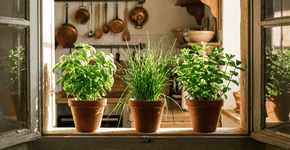 Foto: (Imagem sem texto alternativo disponivel ID [2751341])