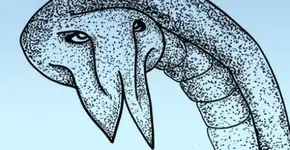 Foto: (Imagem sem texto alternativo disponivel ID [1343408])