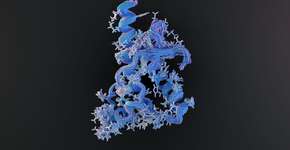 Foto: (Love Employee/istock)