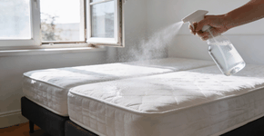 Foto: (Imagem sem texto alternativo disponivel ID [2728642])