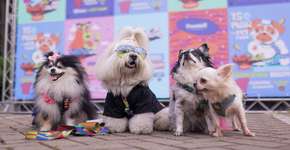 Foto: (Foto: Divulgação.)