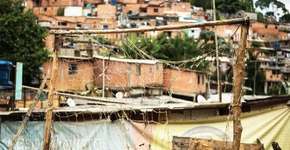 Foto: (Imagem sem texto alternativo disponivel ID [621181])