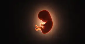 Foto: (BlackJack3D/istock)