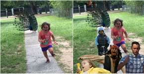 Foto: (Imagem sem texto alternativo disponivel ID [1100860])