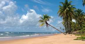 Foto: (Imagem sem texto alternativo disponivel ID [728732])