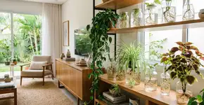 3 plantas de interior que vivem na água e melhoram a qualidade do ar: fáceis de cuidar