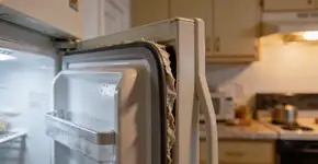 Foto: (Imagem sem texto alternativo disponivel ID [2704698])