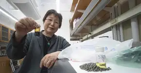 Combustível de plástico reciclado é saída para despoluir oceanos