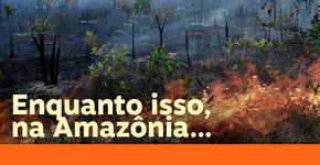 Jair Bolsonaro é louco, ignorante ou irresponsável?