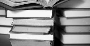 Foto: (Imagem sem texto alternativo disponivel ID [185219])