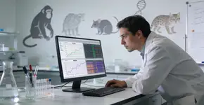 Foto: (Imagem sem texto alternativo disponivel ID [2676037])