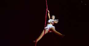 Foto: (Imagem sem texto alternativo disponivel ID [2229269])