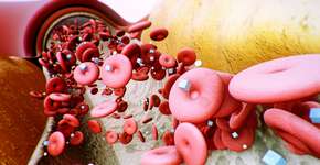 Foto: (iStock/nopparit)