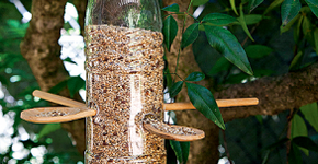 Campanha convida escolas brasileiras para “brincarem” de sustentabilidade