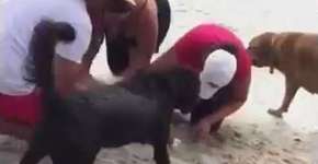 Foto: (Imagem sem texto alternativo disponivel ID [1868783])