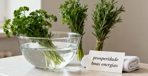 Quem usa está vendendo o dobro! Esse é o poder surpreendente do alecrim para o sucesso