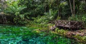 Foto: (Imagem sem texto alternativo disponivel ID [1867610])