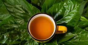 Estudo descobre chá que diminui açúcar no sangue em quase 60%