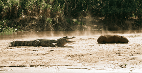 Foto: (Imagem sem texto alternativo disponivel ID [2746118])