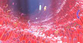 A explicação para sua depressão pode estar em seu intestino