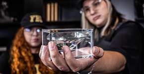 Foto: (Foto: Divulgação.)