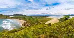 Foto: (iStock/Cesar Okada)