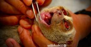 Foto: (Imagem sem texto alternativo disponivel ID [1106554])