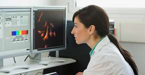 Foto: (Image Source/istock)