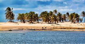 10 passeios que você não pode deixar de fazer em Alagoas