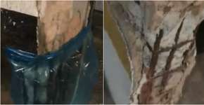 Foto: (Reprodução/Globo)