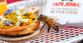 Rede cria pizza em miniatura com flores e pólen para abelhas