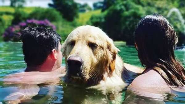 A Pousada Gaia Viva, em Igaratá (SP), é pet friendly