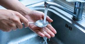 Foto: (Imagem sem texto alternativo disponivel ID [2707613])