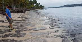 Mancha de óleo atinge a paradisíaca praia dos Carneiros, em Pernambuco