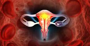 Foto: (iStock/Mohammed Haneefa Nizamudeen)