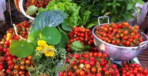 Foto: (Imagem sem texto alternativo disponivel ID [1835919])