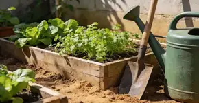 Foto: (Imagem sem texto alternativo disponivel ID [2706181])