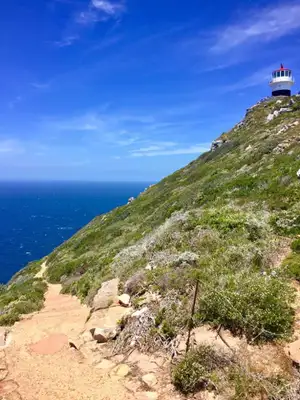 Cape Point - Cape Town
