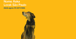 Foto: (Imagem sem texto alternativo disponivel ID [1827551])