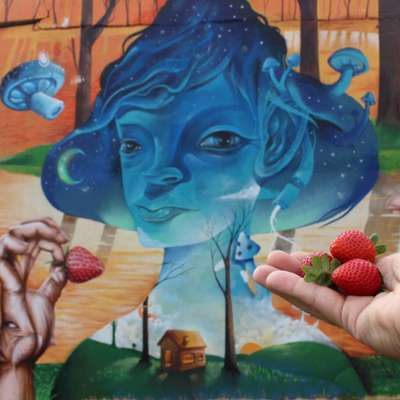 Graffiti na Pampulha, clicado por @ossaboresdomundo