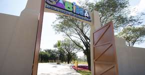 Foto: (Foto: Alex Cavanha)