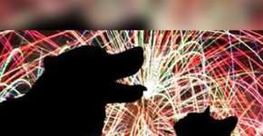 Cidade italiana só faz festa com fogos de artifício silenciosos em respeito aos animais